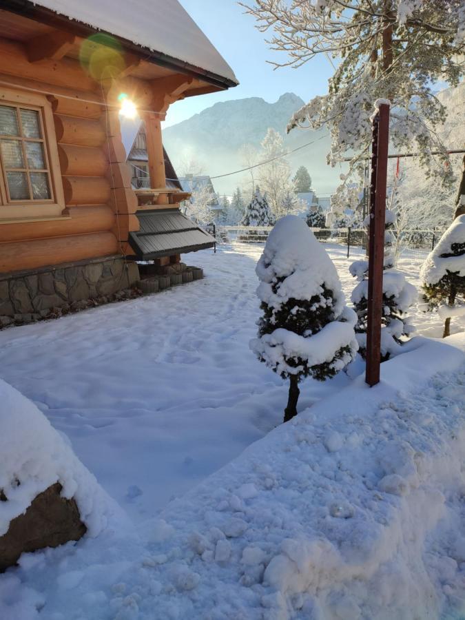 Biolo I Corno Izba Mountain Chalets Kościelisko Værelse billede