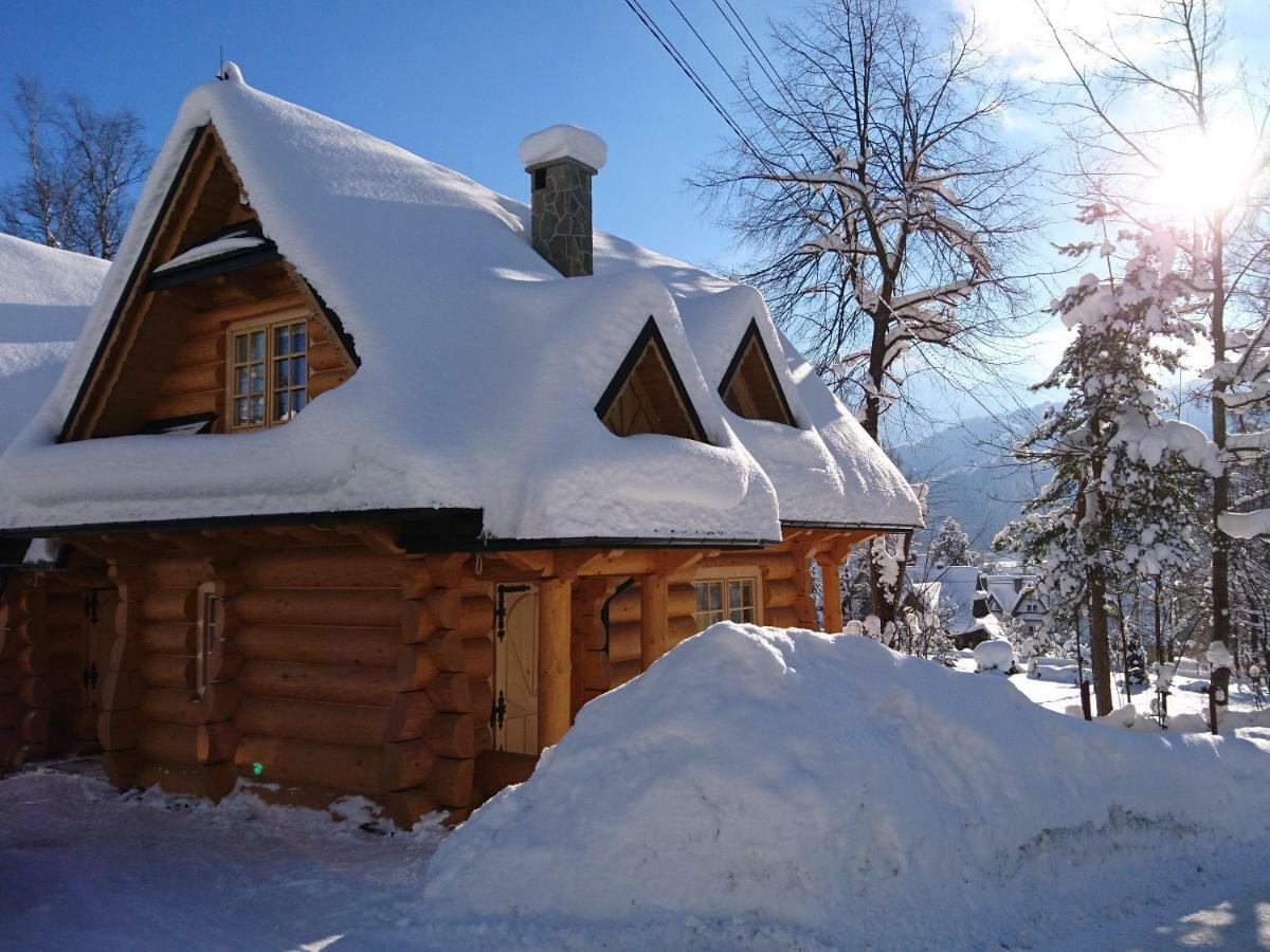 Biolo I Corno Izba Mountain Chalets Kościelisko Eksteriør billede