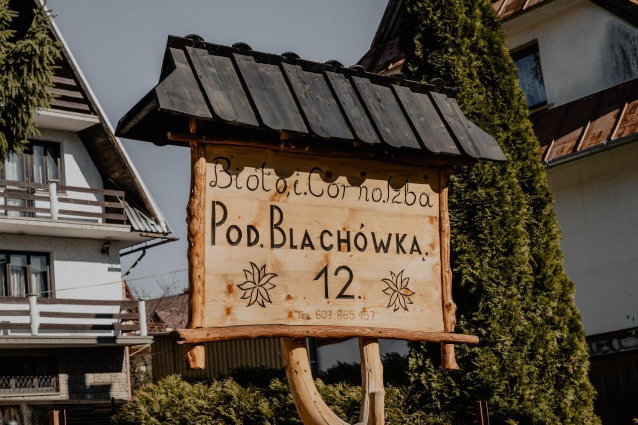 Biolo I Corno Izba Mountain Chalets Kościelisko Eksteriør billede
