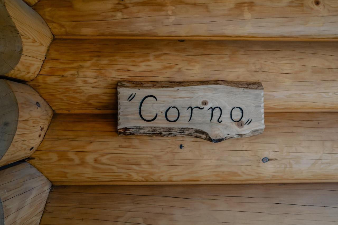 Biolo I Corno Izba Mountain Chalets Kościelisko Eksteriør billede