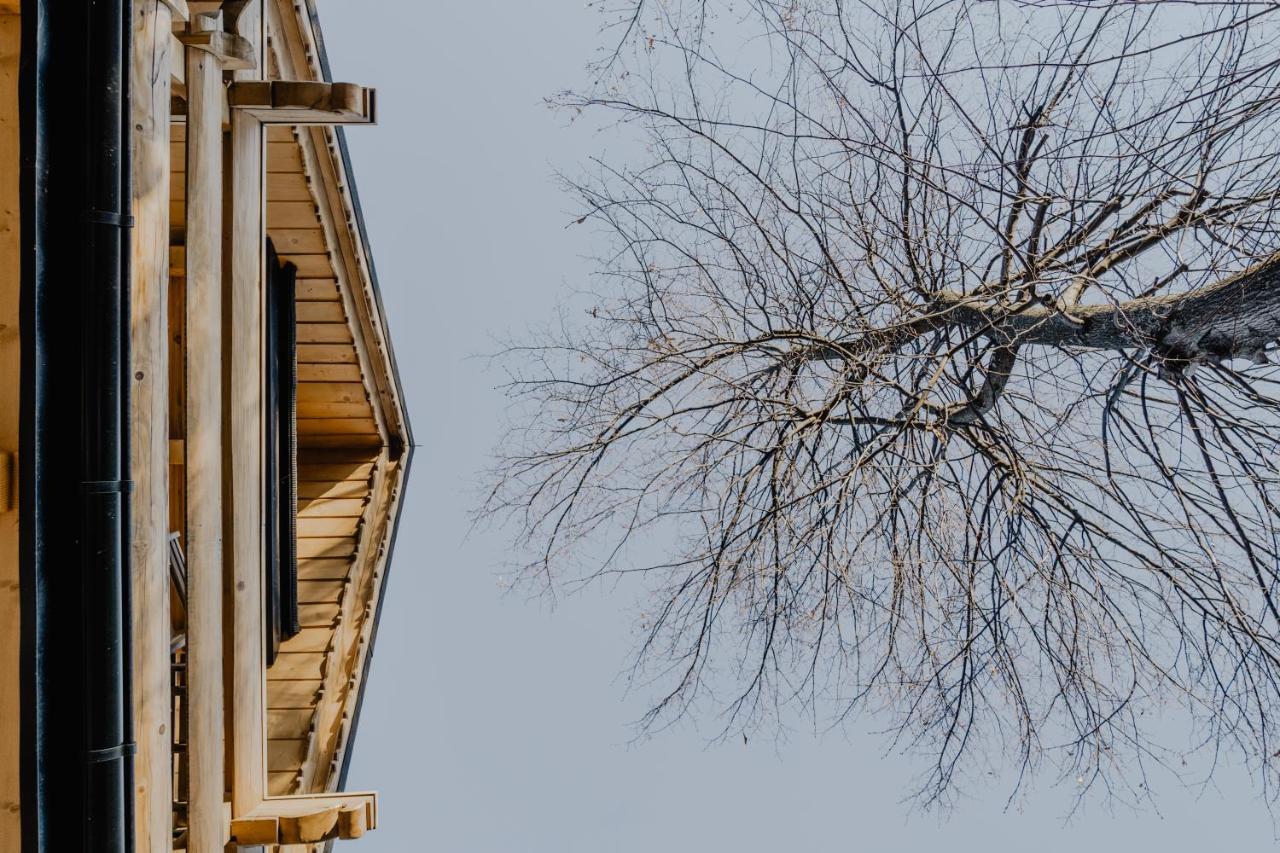 Biolo I Corno Izba Mountain Chalets Kościelisko Eksteriør billede
